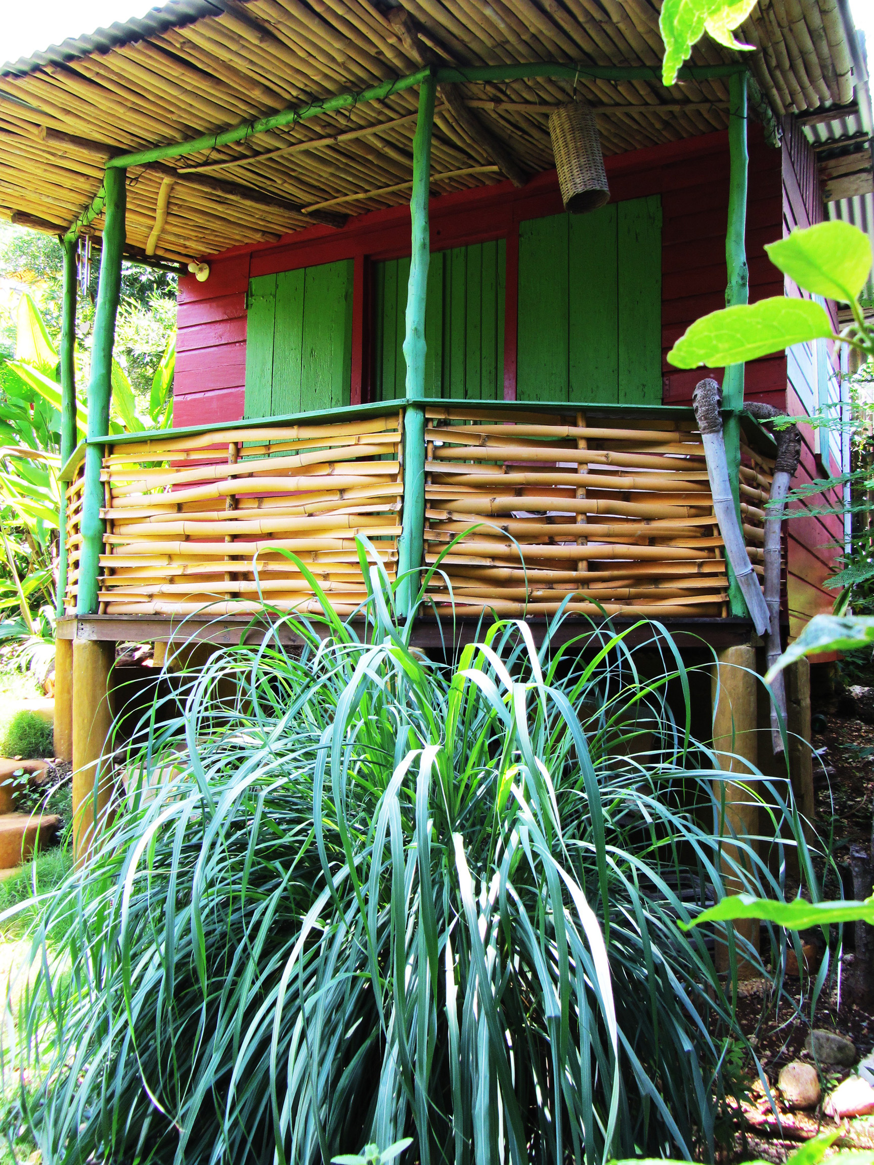 Jungle Shack outside